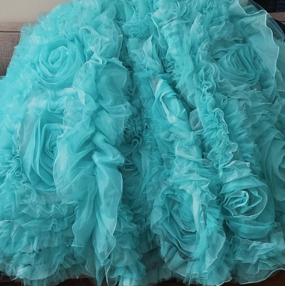 Quiencenera Dress, Prom or Ball Dress - Picture 13 of 14